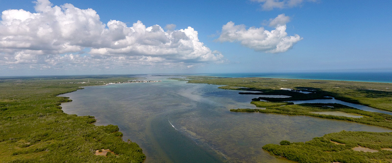 Alojamiento en Río Lagartos